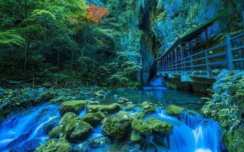 秋芳洞
