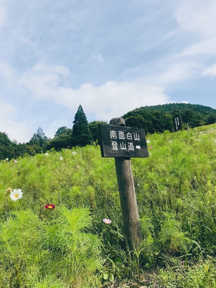 猫なぎ。さんが投稿した面白山コスモスベルグに関する口コミの画像