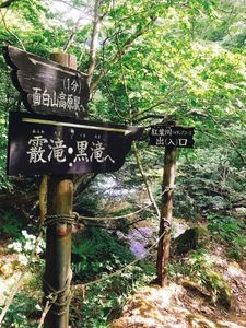 面白山紅葉川渓谷散策路 1枚目