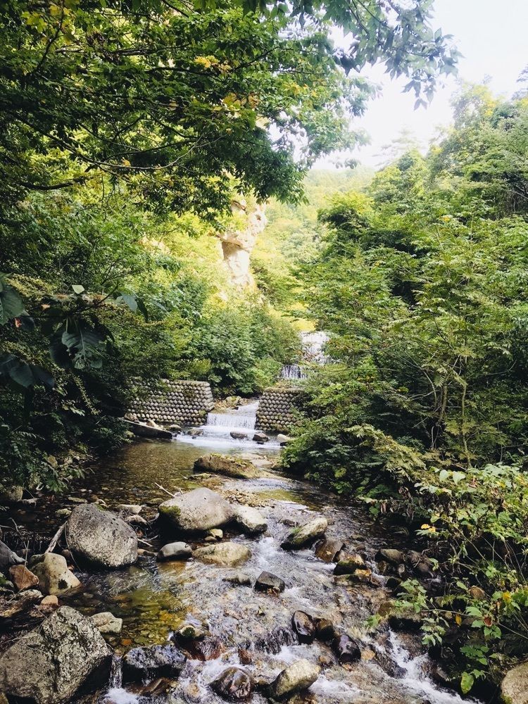 猫なぎ。さんが投稿した面白山紅葉川渓谷散策路に関する口コミの画像