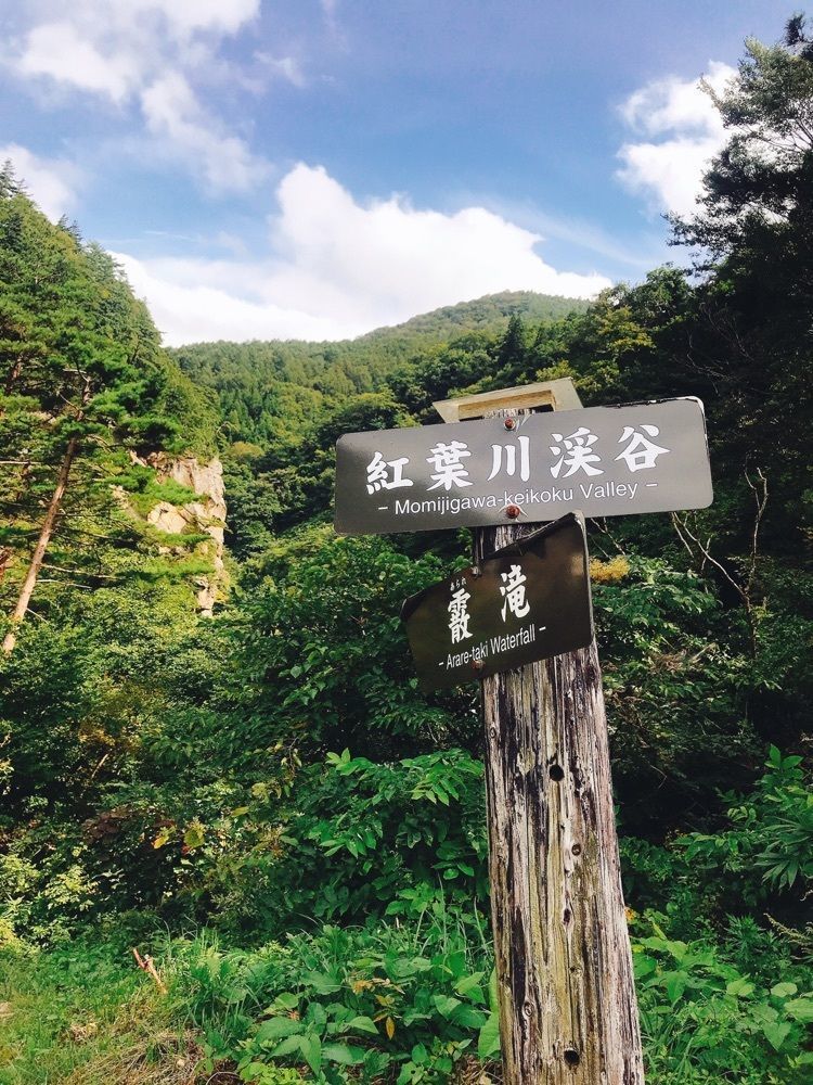 猫なぎ。さんが投稿した紅葉川渓谷に関する口コミの画像