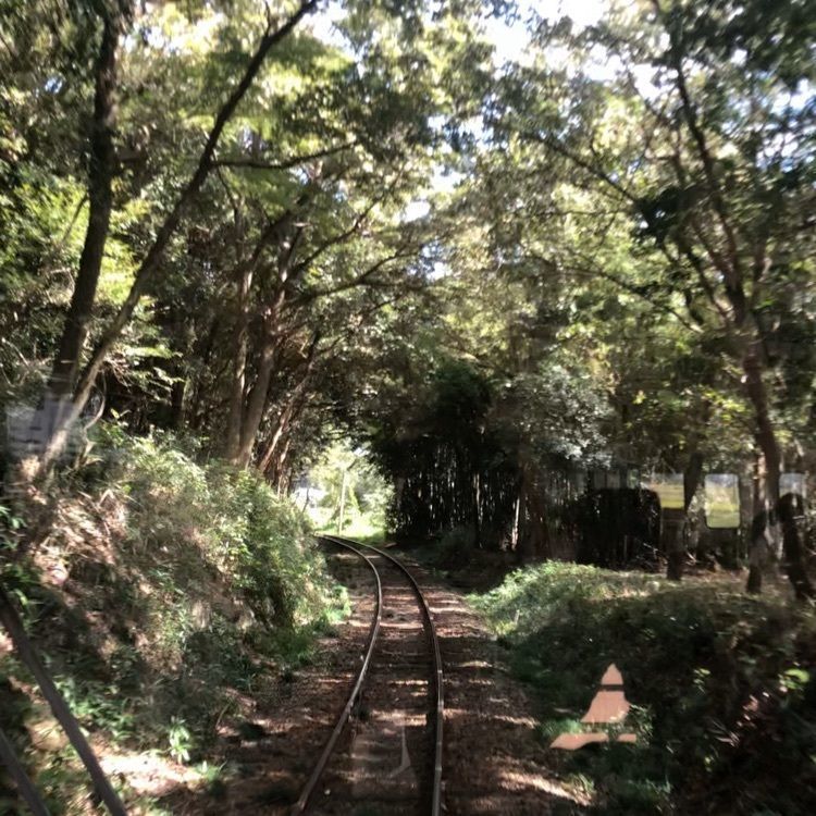 あつしさんが投稿した粟生駅に関する口コミの画像