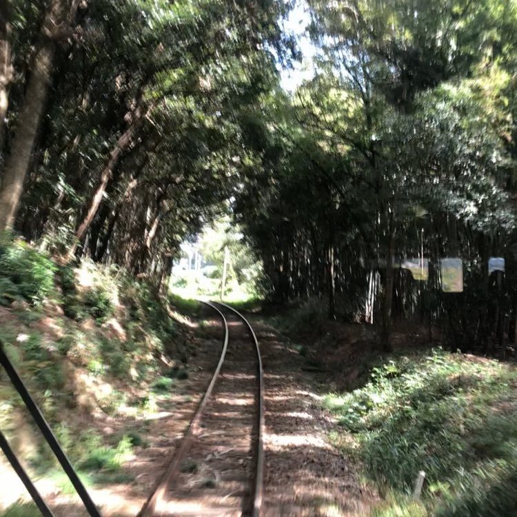 あつしさんが投稿した粟生駅に関する口コミの画像