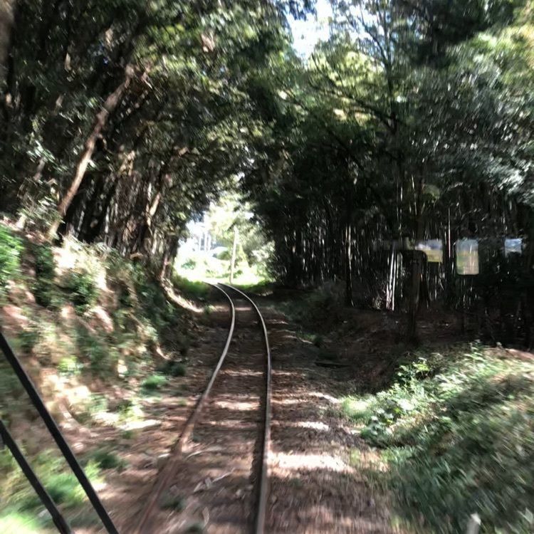 あつしさんが投稿した粟生駅に関する口コミの画像