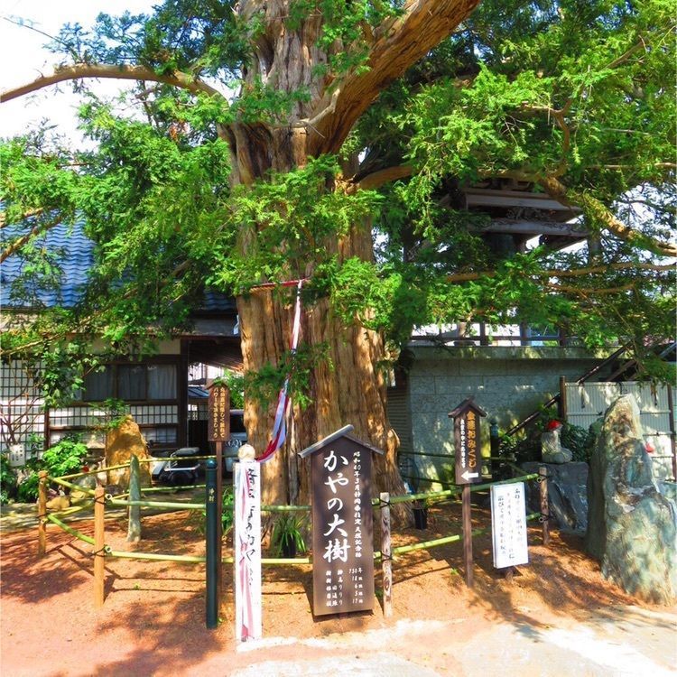 きーこさんが投稿した済広寺に関する口コミの画像