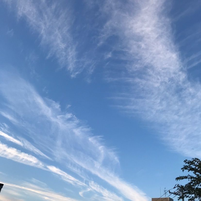 emthayatoffさんが投稿した横浜市港南区に関する口コミの画像
