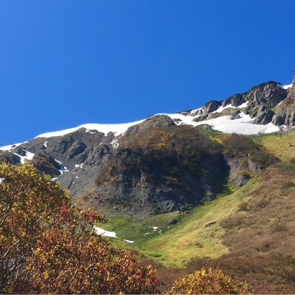 yoshiさんが投稿した高根ヶ原の万年雪に関する口コミの画像