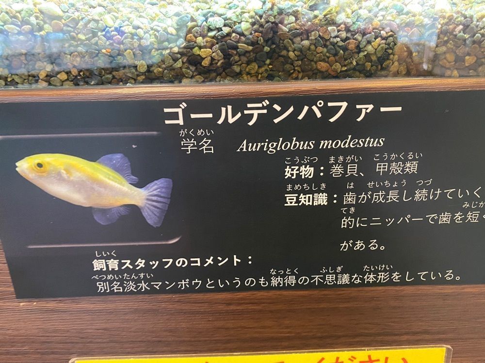 けんけんさんが投稿した山梨県立富士湧水の里水族館（森の水族館）に関する口コミの画像