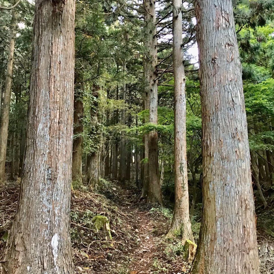 さんぴん茶さんが投稿した木の俣地蔵に関する口コミの画像