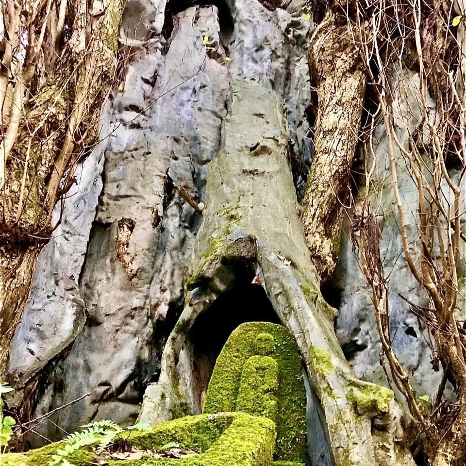 さんぴん茶さんが投稿した木の俣地蔵に関する口コミの画像