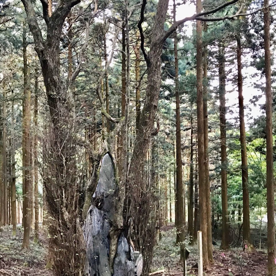 さんぴん茶さんが投稿した木の俣地蔵に関する口コミの画像