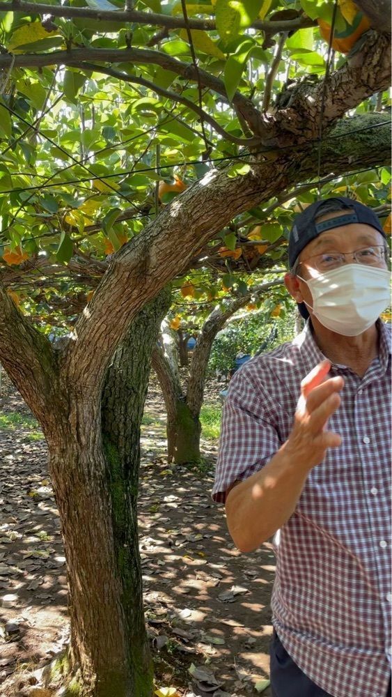 Yoshikazu Ozawaさんが投稿した高代園に関する口コミの画像