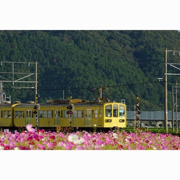 えみりんの画像