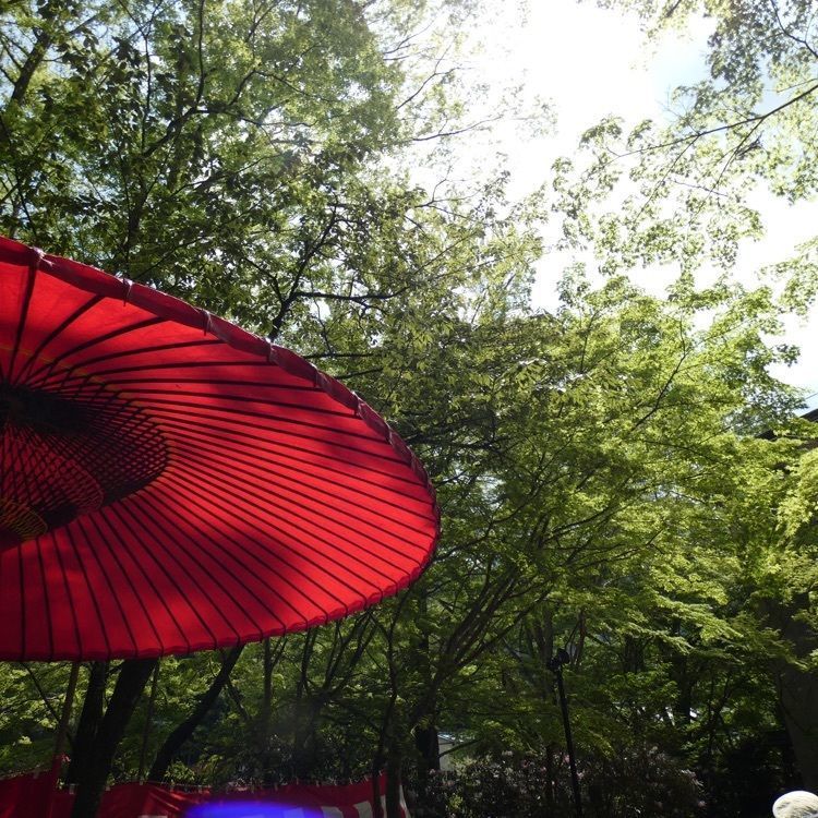 joyful_landscape_715eさんが投稿した室生寺五重塔に関する口コミの画像