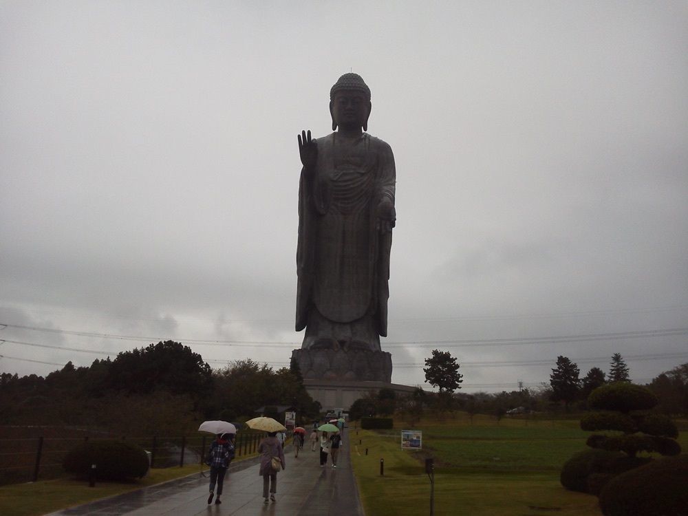fumiの画像