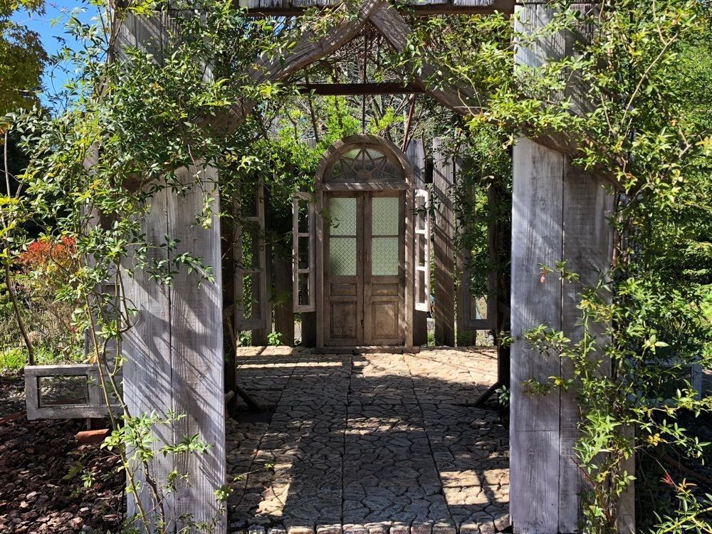 jun1216さんが投稿したGATE FLOWER FIELDに関する口コミの画像