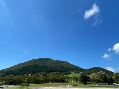 やくらいガーデン