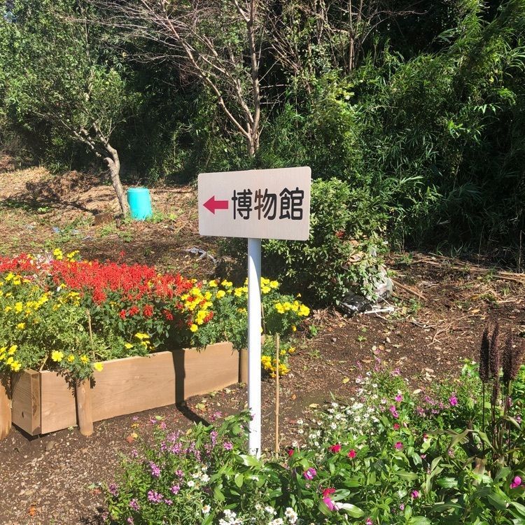タッキーさんが投稿した町田市立博物館に関する口コミの画像
