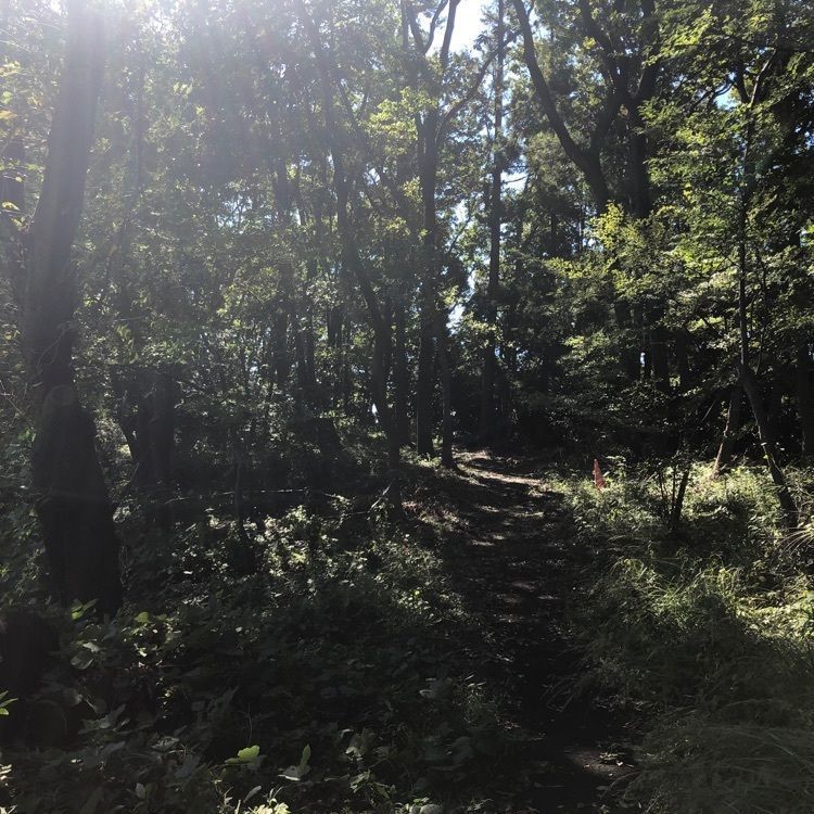 タッキーさんが投稿した本町田遺跡公園に関する口コミの画像