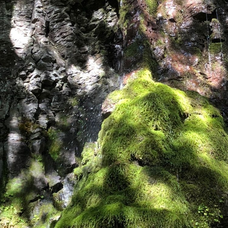 Hamachiさんが投稿した御嶽神社里宮に関する口コミの画像