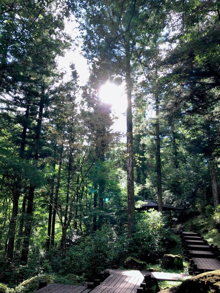 たうこさんが投稿した不動滝（岐阜県中津川市）に関する口コミの画像