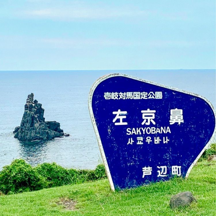 jucocoさんが投稿した左京鼻に関する口コミの画像