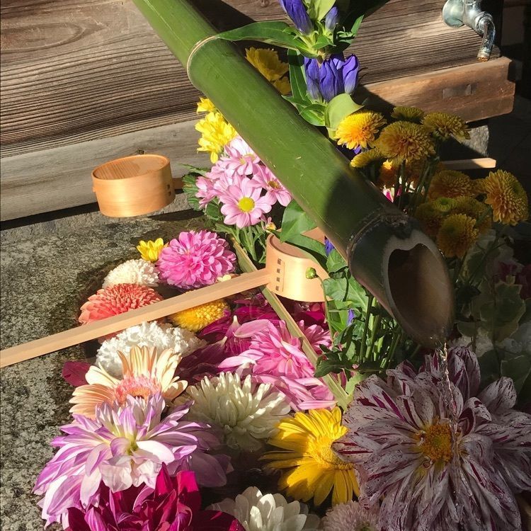 ぷにさんが投稿した勝林寺に関する口コミの画像