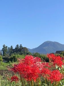尾瀬かまた宿温泉　水芭蕉乃湯　梅田屋旅館