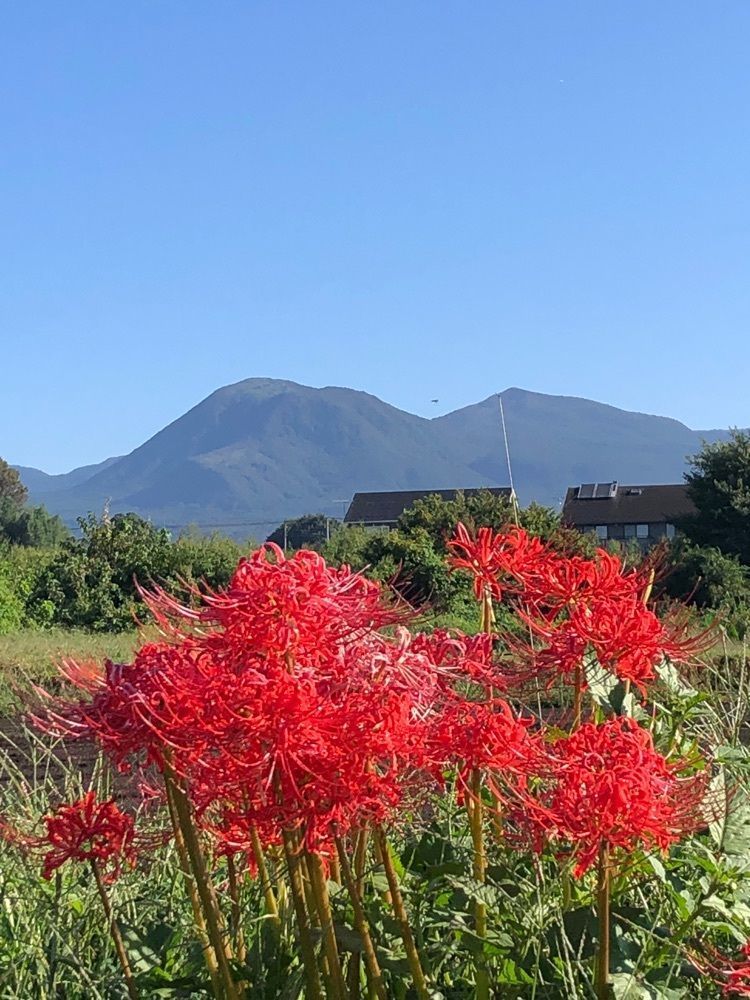kumachan31さんが投稿した尾瀬かまた宿温泉　水芭蕉乃湯　梅田屋旅館に関する口コミの画像