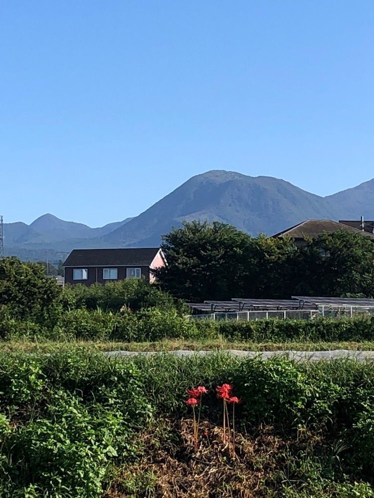 kumachan31さんが投稿した尾瀬かまた宿温泉　水芭蕉乃湯　梅田屋旅館に関する口コミの画像