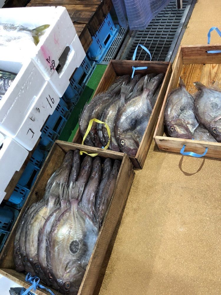 白たぬきさんが投稿したはまだお魚市場に関する口コミの画像