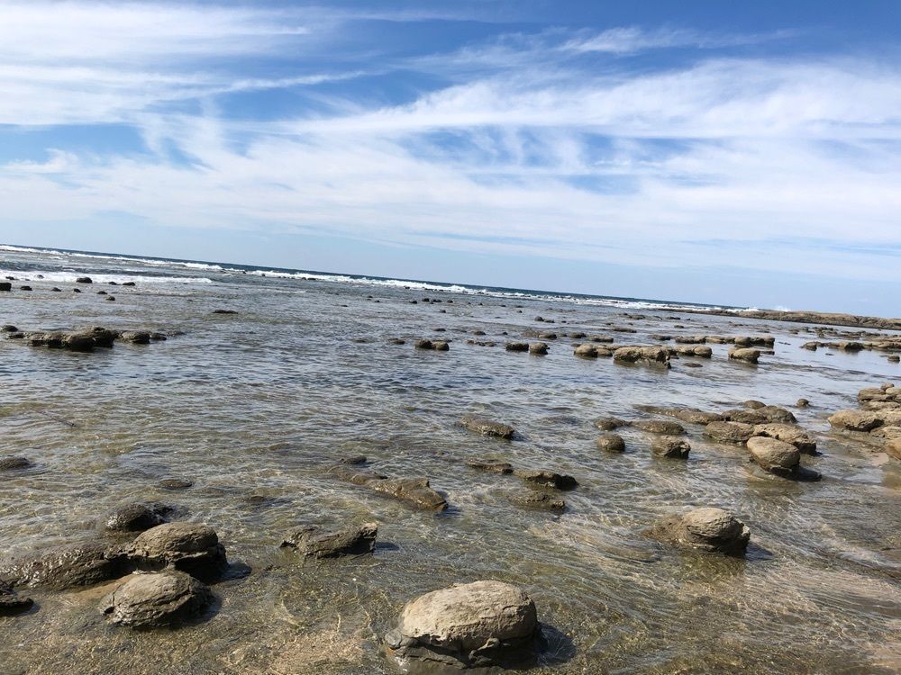 白たぬきさんが投稿した石見畳ヶ浦に関する口コミの画像