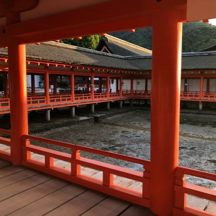 mimiさんが投稿した厳島神社に関する口コミの画像