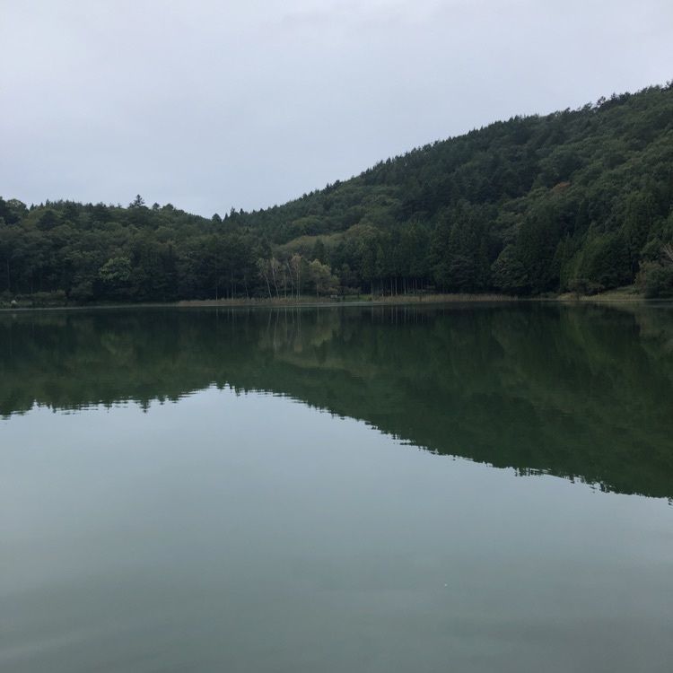 やす0419さんが投稿した四尾連湖 水明荘（シビレコ スイメイソウ）に関する口コミの画像