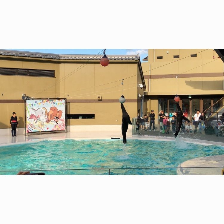 mimiさんが投稿した宮島水族館 みやじマリンに関する口コミの画像