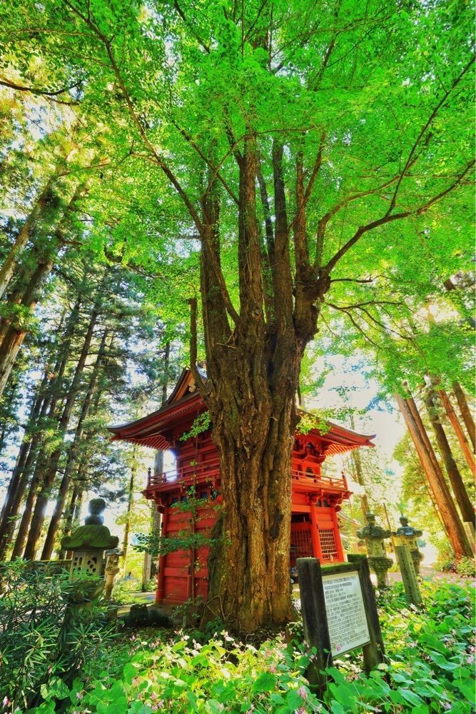 まさまさ　さまさんが投稿した寺山観音寺に関する口コミの画像