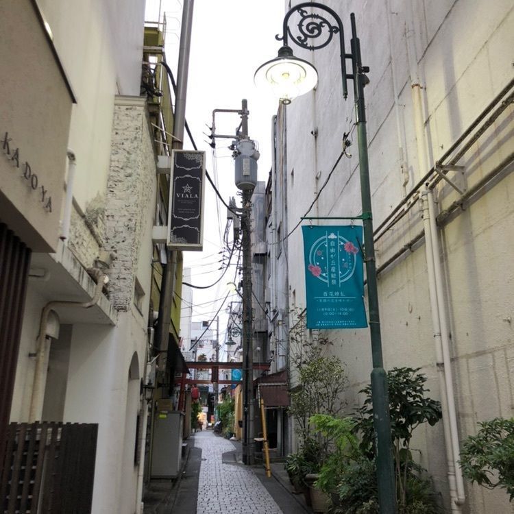 tomorrowさんが投稿したドトールコーヒーショップ 自由ヶ丘店に関する口コミの画像