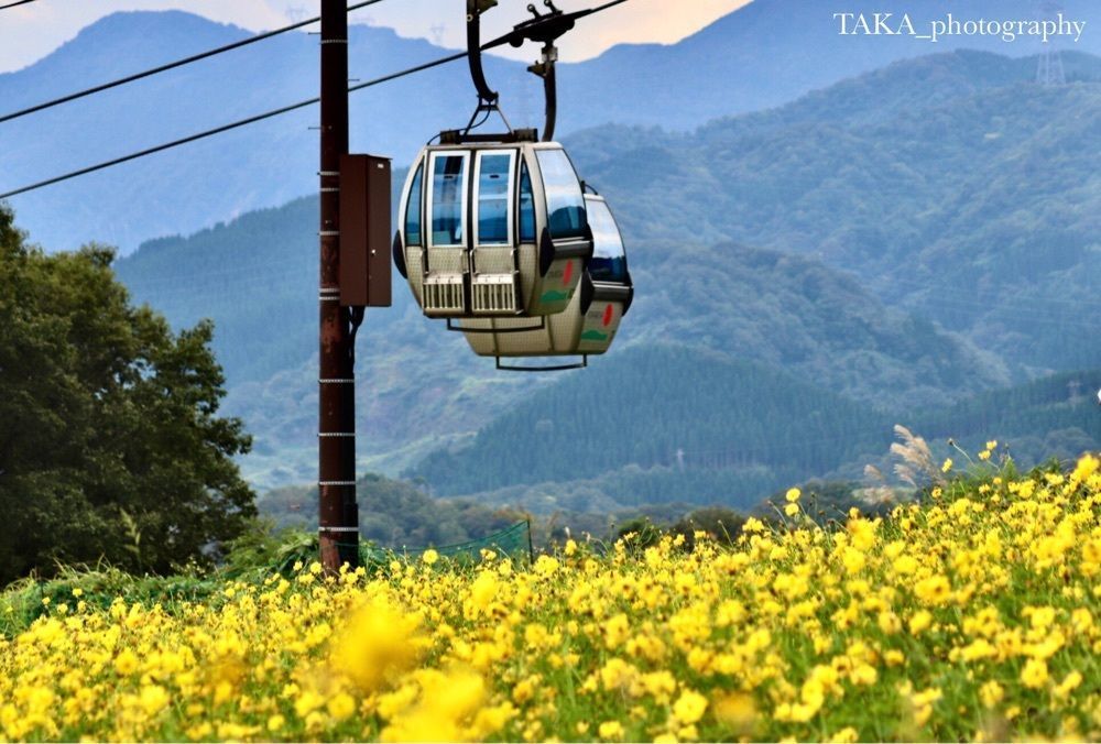 taka_wildflowerさんが投稿したIOX-AROSA(イオックスアローザ)に関する口コミの画像