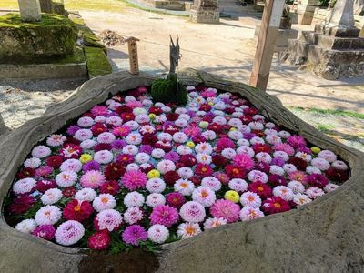 嵐山瀧神社 3枚目