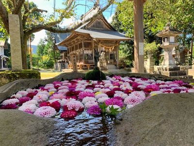 嵐山瀧神社 4枚目