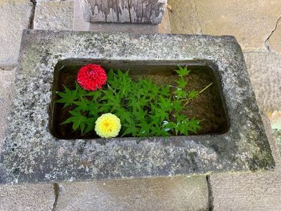 嵐山瀧神社 5枚目