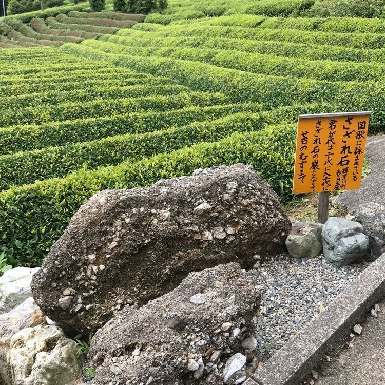 _location_2cde ダルマ大使さんが投稿した天空の里上ヶ流茶（テンクウノサトカミガレチャ）に関する口コミの画像
