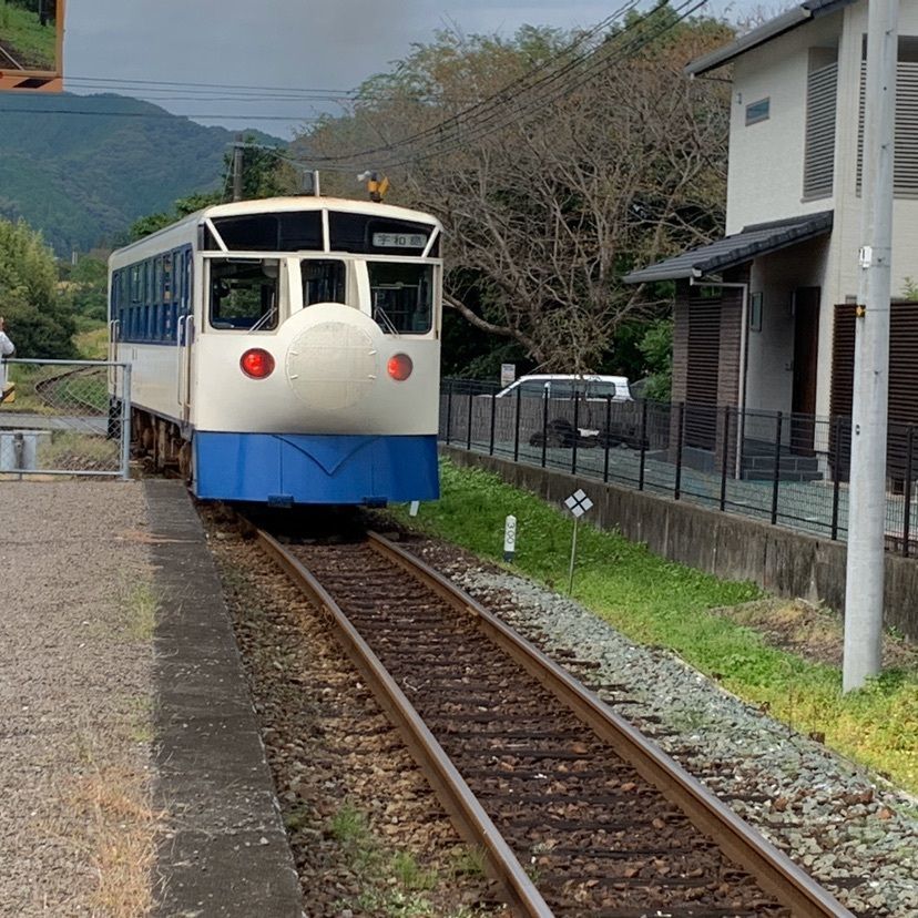メリーさんが投稿した松丸駅に関する口コミの画像