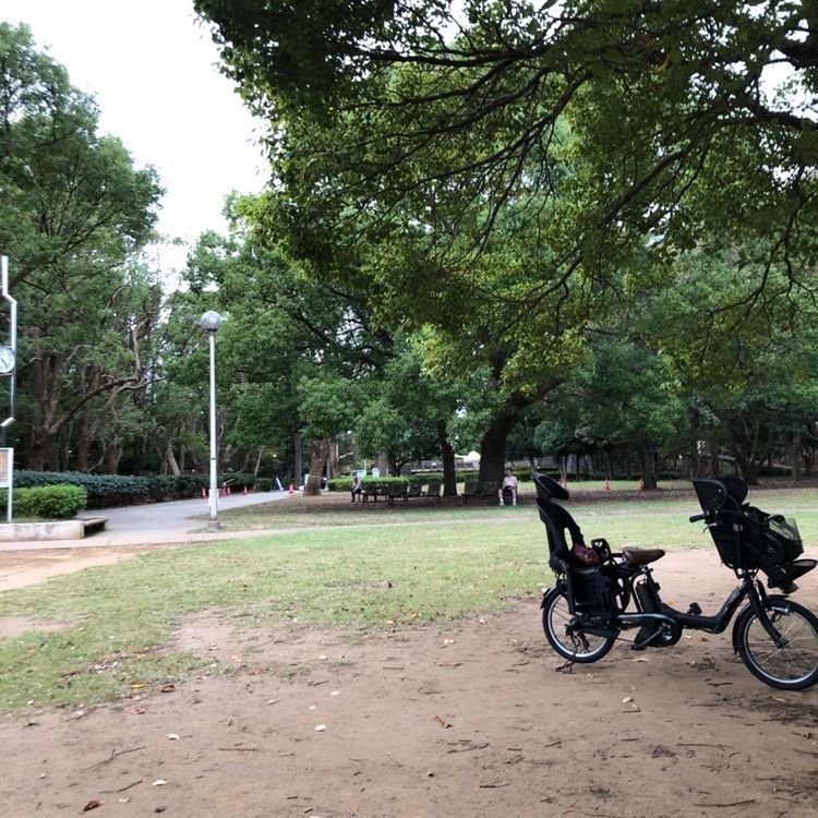 茶碗先生さんが投稿した行田公園に関する口コミの画像