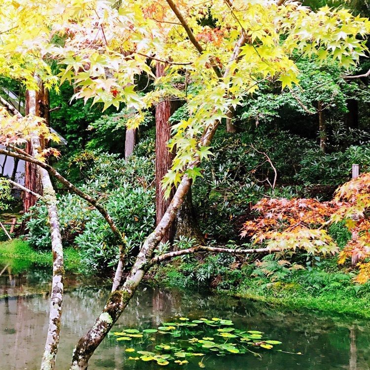 djboy420さんが投稿した室生寺に関する口コミの画像