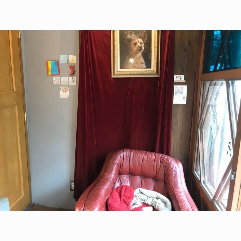 meme1127さんが投稿したル・クシネに関する口コミの画像