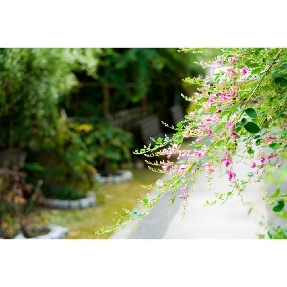 urban_garden_243aさんが投稿した東光院萩の寺に関する口コミの画像