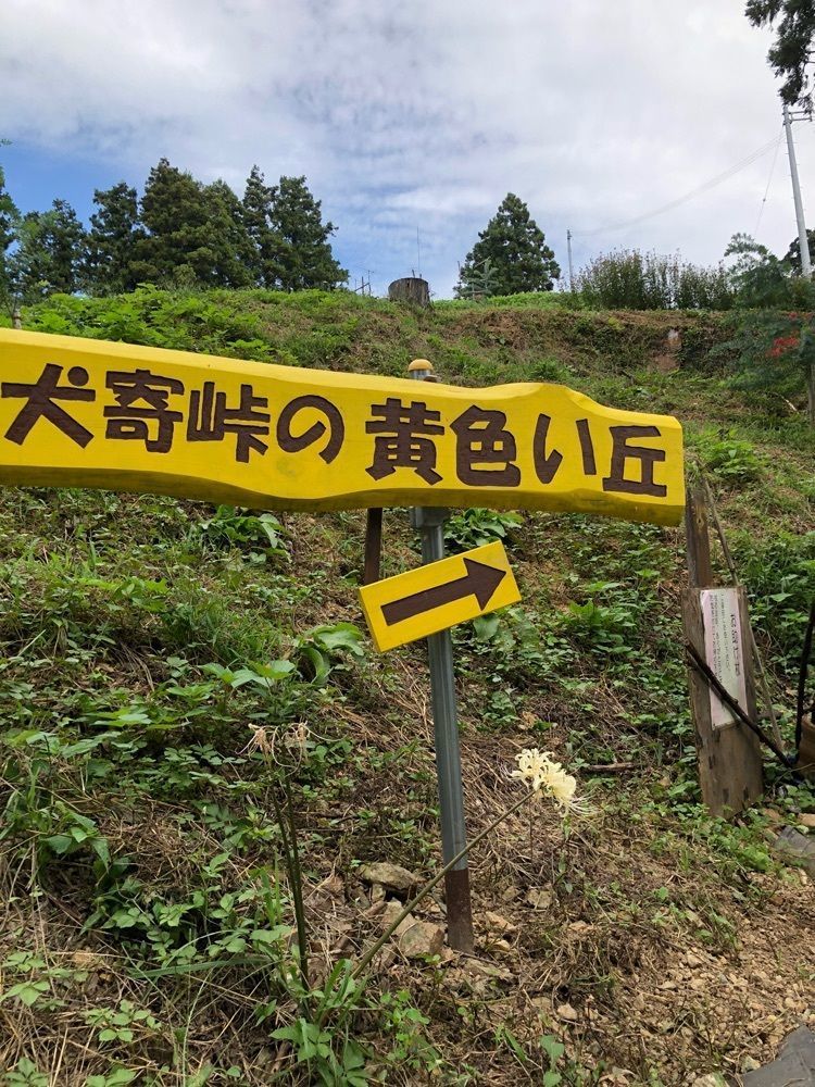 花❁⃘華  さんが投稿した伊予市に関する口コミの画像