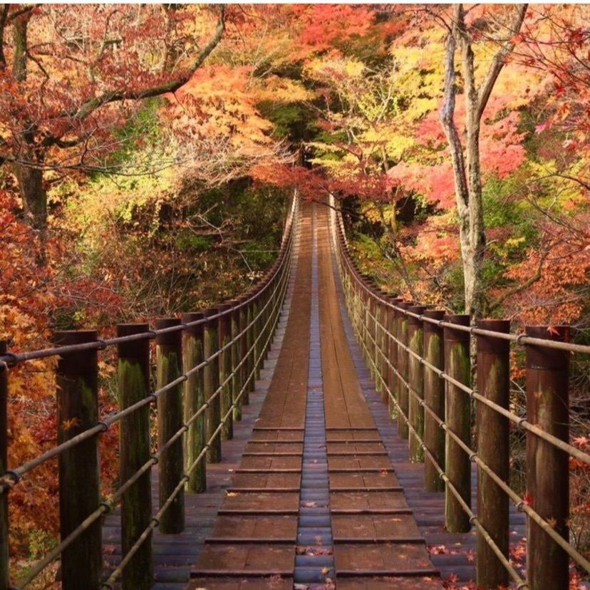 aumo編集部さんが投稿した花貫渓谷の紅葉に関する口コミの画像