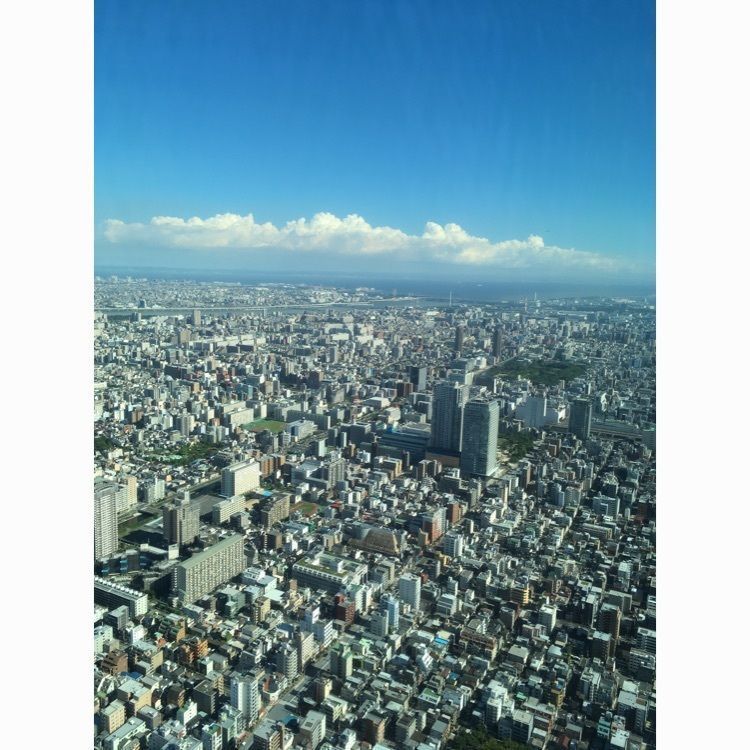 yui7toppoさんが投稿したPLAZA 東京ソラマチ店（プラザ）に関する口コミの画像